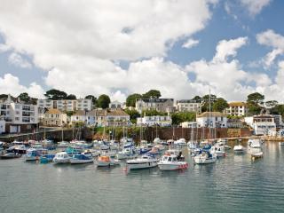 Singer House Apartment - Paignton - 3