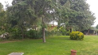 casa vacanze immersa nel verde, Podere San Guido - 8
