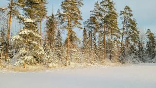 Nature Gem With Lake View Near Hudiksvall - 4