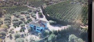 Villa Pardalot Boutique Stays - 5