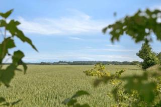 Cozy And Personal Village House - 8