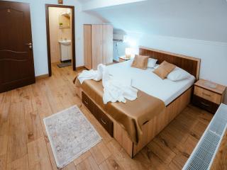 Vila Alina Calimanesti - Călimăneşti - 1