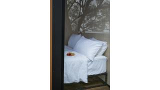 Beckford Tiny House 1 by Tiny Away - Good Hope - 2