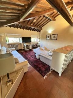 Appartamento incantevole - Firenze - 7