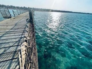 Mohamed Afifi BlueBay Asia - Families - Ground 2 Bed Rooms - Ain Suchna - 9