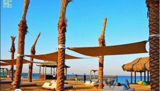 Mohamed Afifi BlueBay Asia - Families - Ground 2 Bed Rooms - Ain Suchna - 1