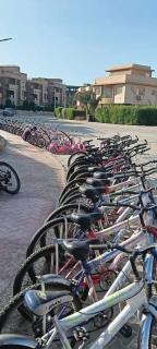 Mohamed Afifi BlueBay Asia - Families - Ground 2 Bed Rooms - Ain Suchna - 7