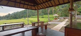 Kacu Bali - Munduk - 8