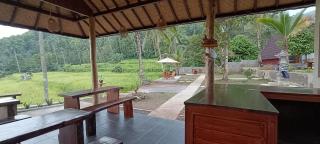 Kacu Bali - Munduk - 2