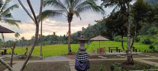 Kacu Bali - Munduk - 4