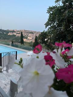 Villa Allegrini - Segni - 7