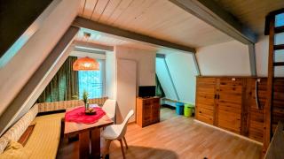 Hütte Tannengrün - Ruheort mitten im Wald - 8