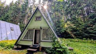 Ruheort mitten im Wald - Eibenstock - 0