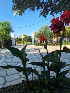 Ioanna's house - Agios Georgios - 6