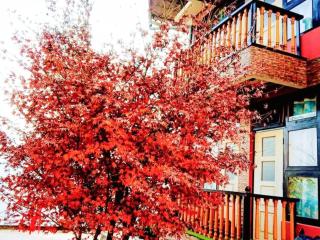The Red Mud Chalet By StayApart - Kaluk - 4