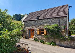 Annes Cottage - Lydbrook - 9