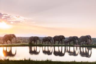 Jabulani Safari - Kapama Private Game Reserve - 0
