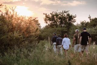 Jabulani Safari - Kapama Private Game Reserve - 6