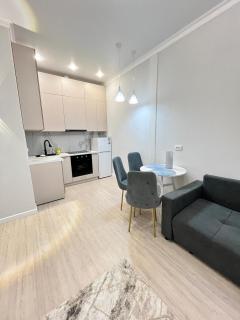 Апартаменты рядом с Аэропортом, Назарбаевский университет - 6