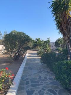 Romanza Villas - Sitia - 3