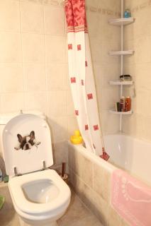 The Cozy Residence - Perea - 2