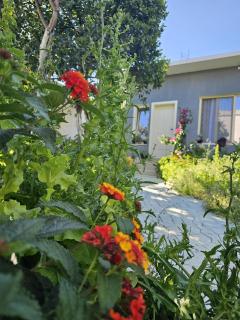 Little house - Vlorë - 0