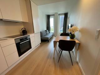 Stunning apt with lovely views - Copenaghen - 2