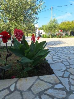 Ioanna's house - Agios Georgios - 9