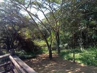 Eagles Nest Bed & Breakfast - Eshowe - 7