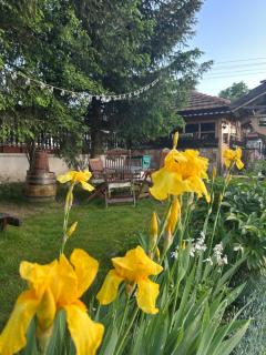 Guest House Rila - Govedartsi - 8