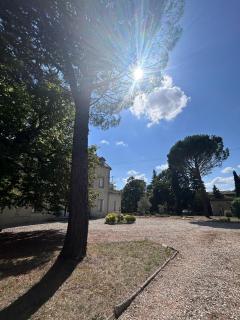 Dreamy Château for big groups and their pets - Saint-Ambroix - 2