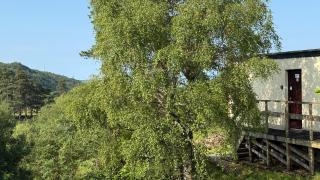 1 Bedroom Cabin with Mountain & Loch Views - Quiet Location between Glencoe & Ben Nevis - Corran - 8