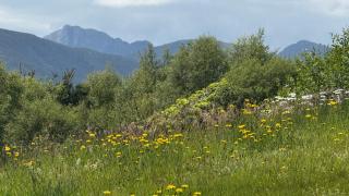 1 Bedroom Cabin with Mountain & Loch Views - Quiet Location between Glencoe & Ben Nevis - Corran - 9