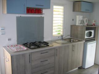 Le mobilhome Chez Camille - Veynes - 6