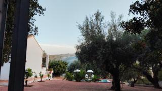 Los Tréboles - Periana - 7