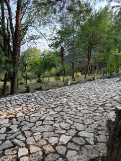 Tenuta Dafne - Vinchiaturo - 1