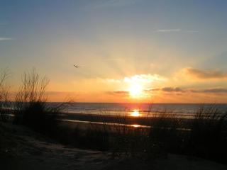 Le Marquenterre - Quend-Plage - 2