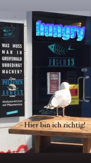 Wohnung mit großer Dachterrasse im Herzen Greifswalds - Niederdorla - 1