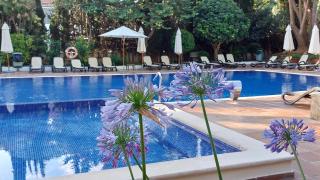 ROC Oberoy - Adults Only - Paguera - 8