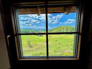 Ferienwohnung Weideblick - 2