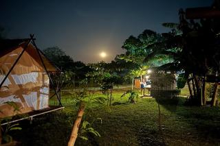 Santillana Hillside Farms - Arayat - 4