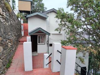 Deodar Whispers - 4