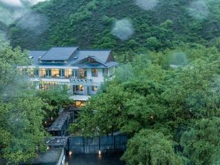 Between Trees and Streams - 4