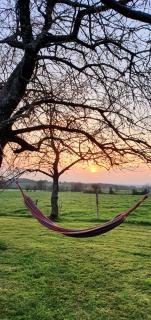 Barrel insolite Papilles en Escapade - LʼÉpaux - 8