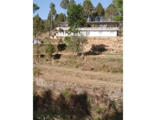 Hotel Dungrivill दुन्ग्रिविल्ल - Joshiana - 7