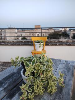 B&B Cèsar - Castrignano del Capo - 2