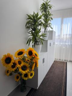 MEGAN RESIDENCE - floor 3 - Shëngjin - 5