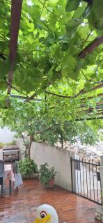 Apartman Legac - Starigrad - 9