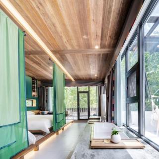 Between Trees and Streams - 7