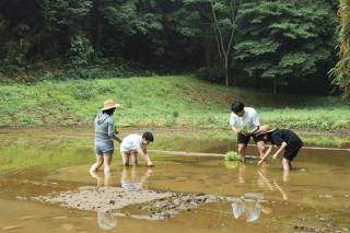 THE FARM Resort Japan - 1